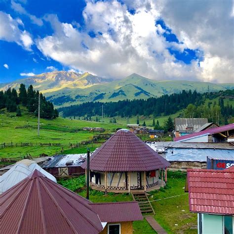 alarkon guest house|Alakol.